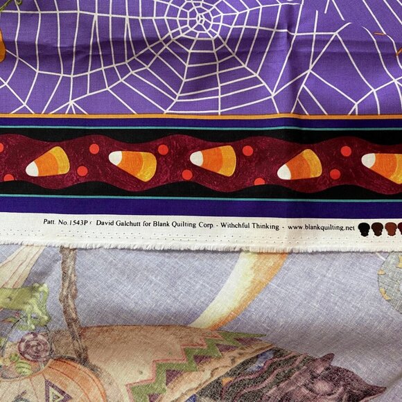 Witchful Thinking Quilting Blanket Sewing Panel Halloween Witch David Galchutt - Picture 3 of 3